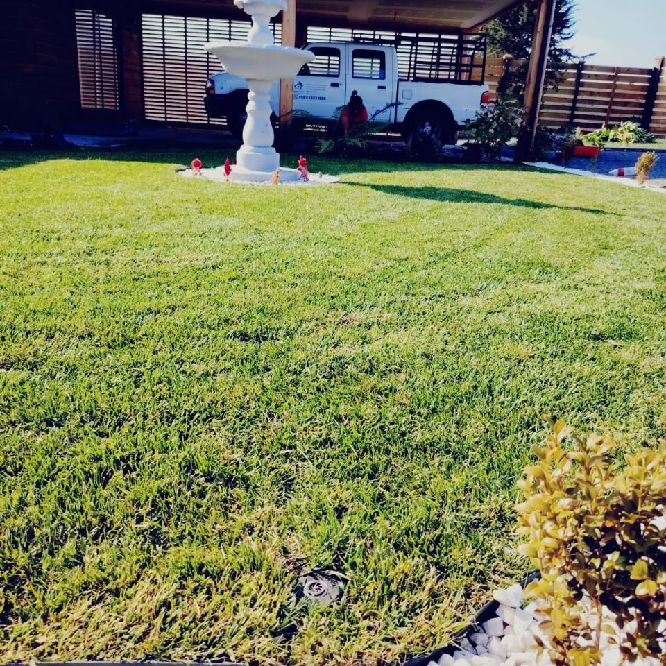 WhatsApp Image 2025-04-05 at 8.45.31 PM