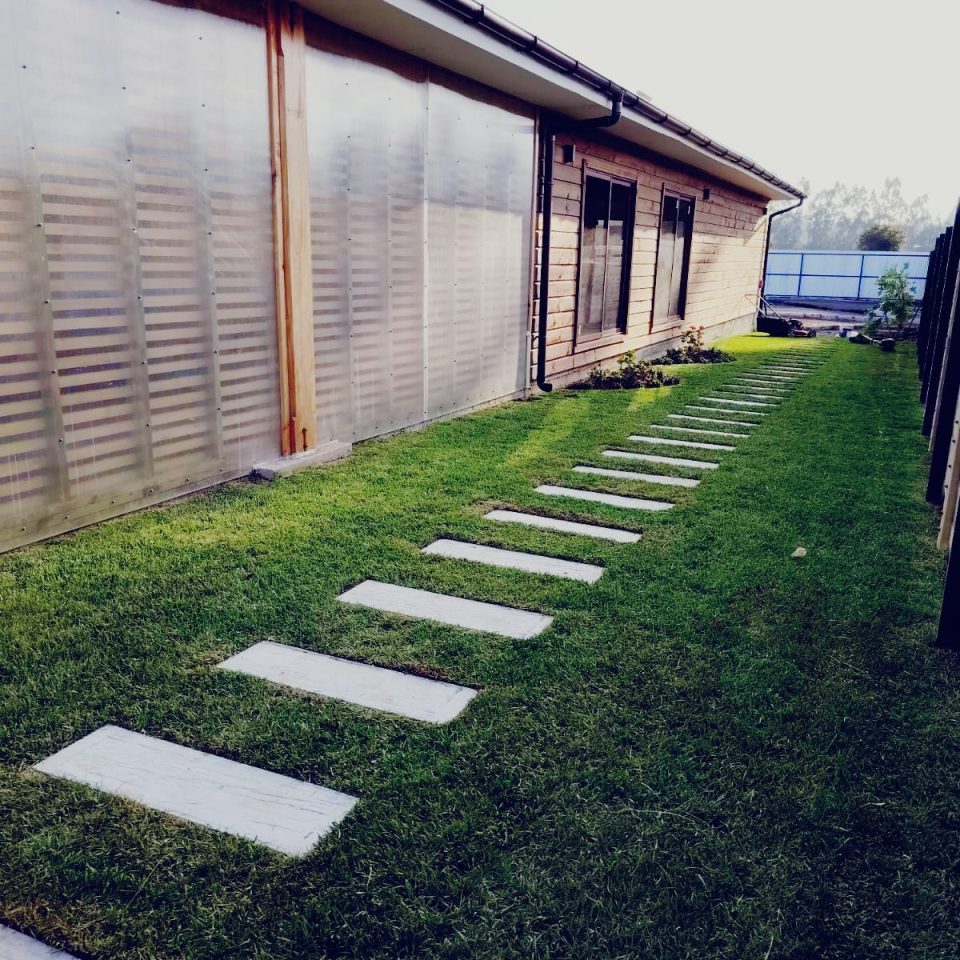 WhatsApp Image 2025-04-05 at 8.46.02 PM