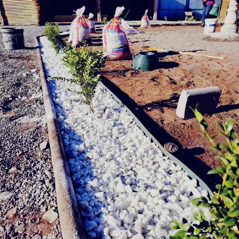 WhatsApp Image 2025-04-05 at 8.49.00 PM