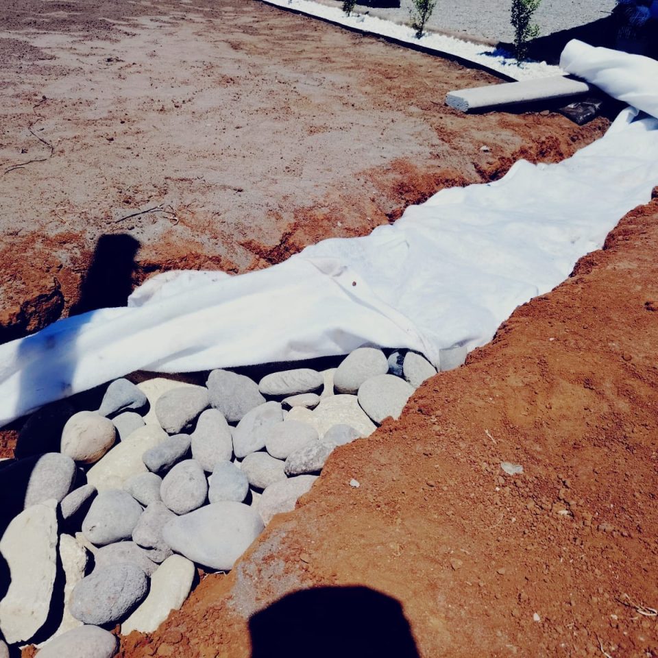 WhatsApp Image 2025-04-05 at 8.49.02 PM