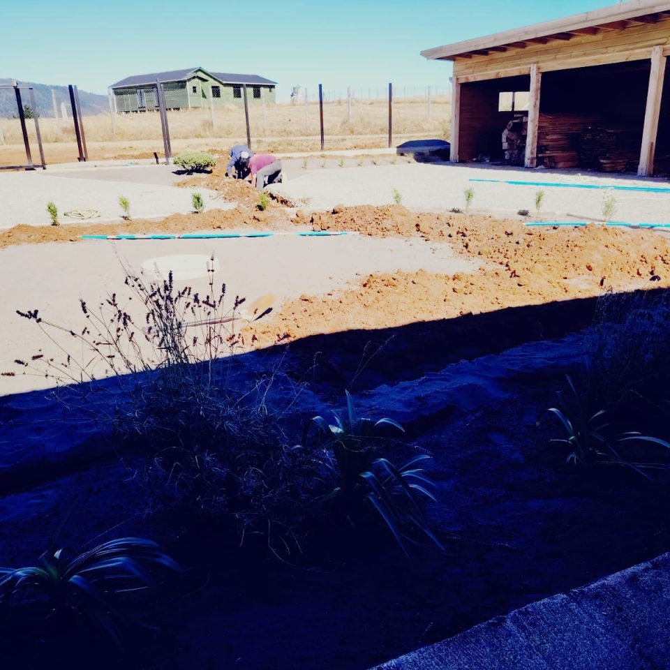 WhatsApp Image 2025-04-05 at 8.49.11 PM