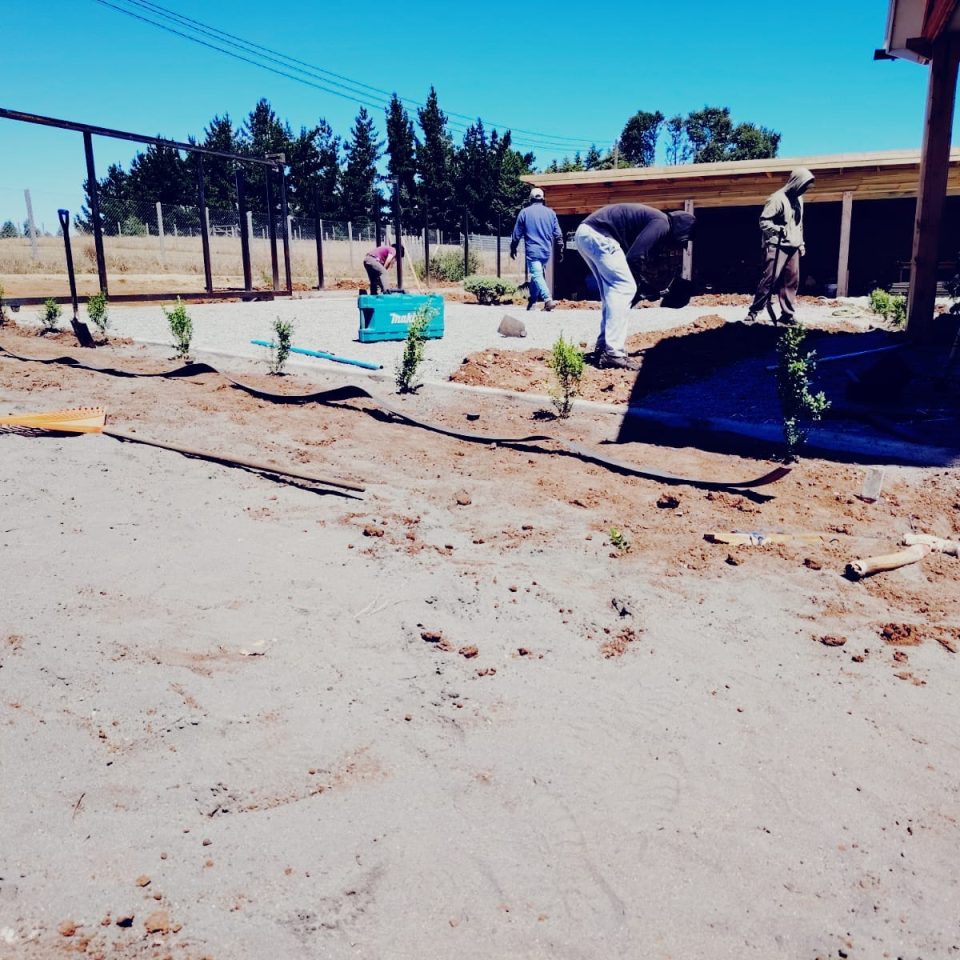 WhatsApp Image 2025-04-05 at 8.49.12 PM