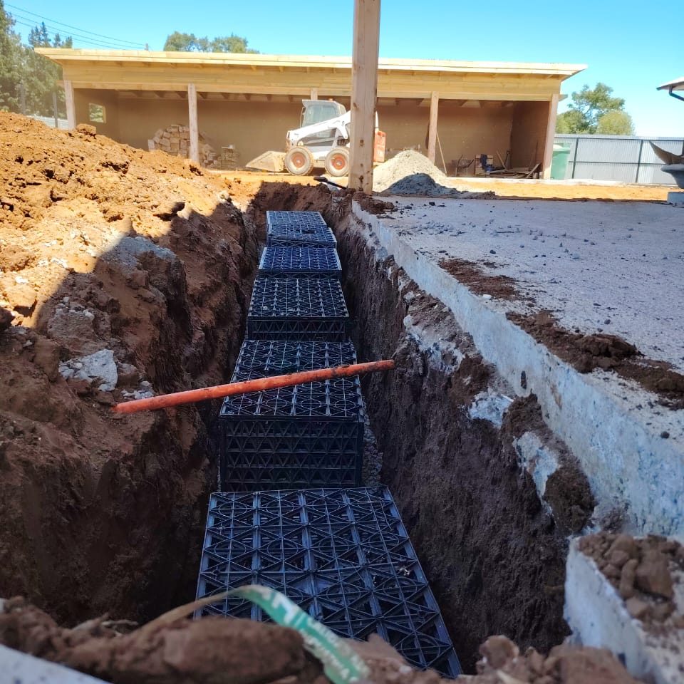 WhatsApp Image 2025-04-05 at 8.50.27 PM (1)